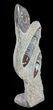 Fossil Goniatite & Orthoceras Sculpture - #62371-1